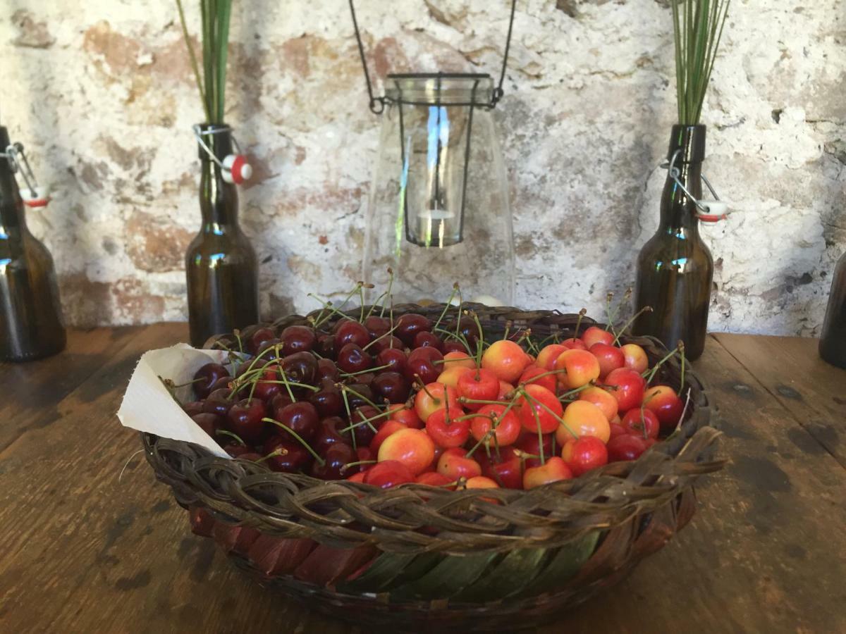 Domaine De Brousson Acomodação com café da manhã La Tour-sur-Orb Exterior foto