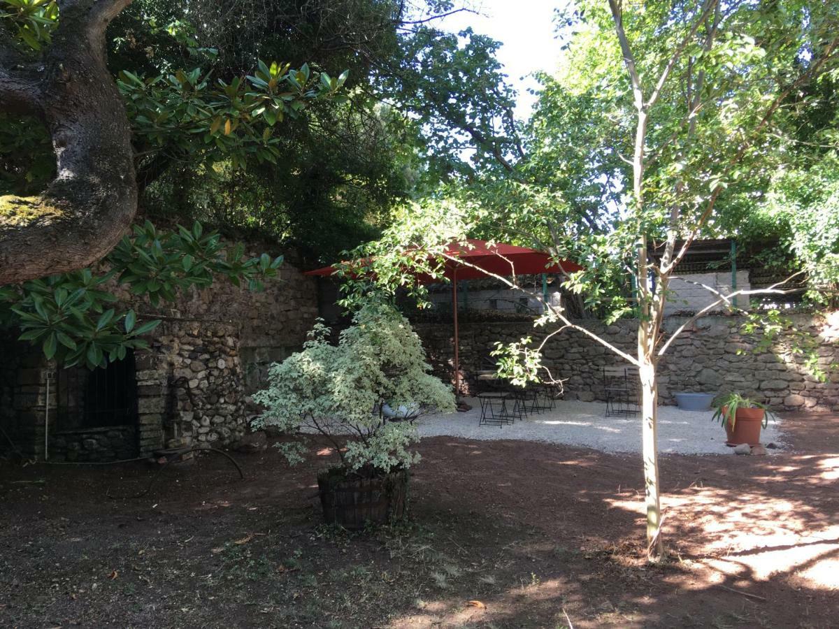 Domaine De Brousson Acomodação com café da manhã La Tour-sur-Orb Exterior foto
